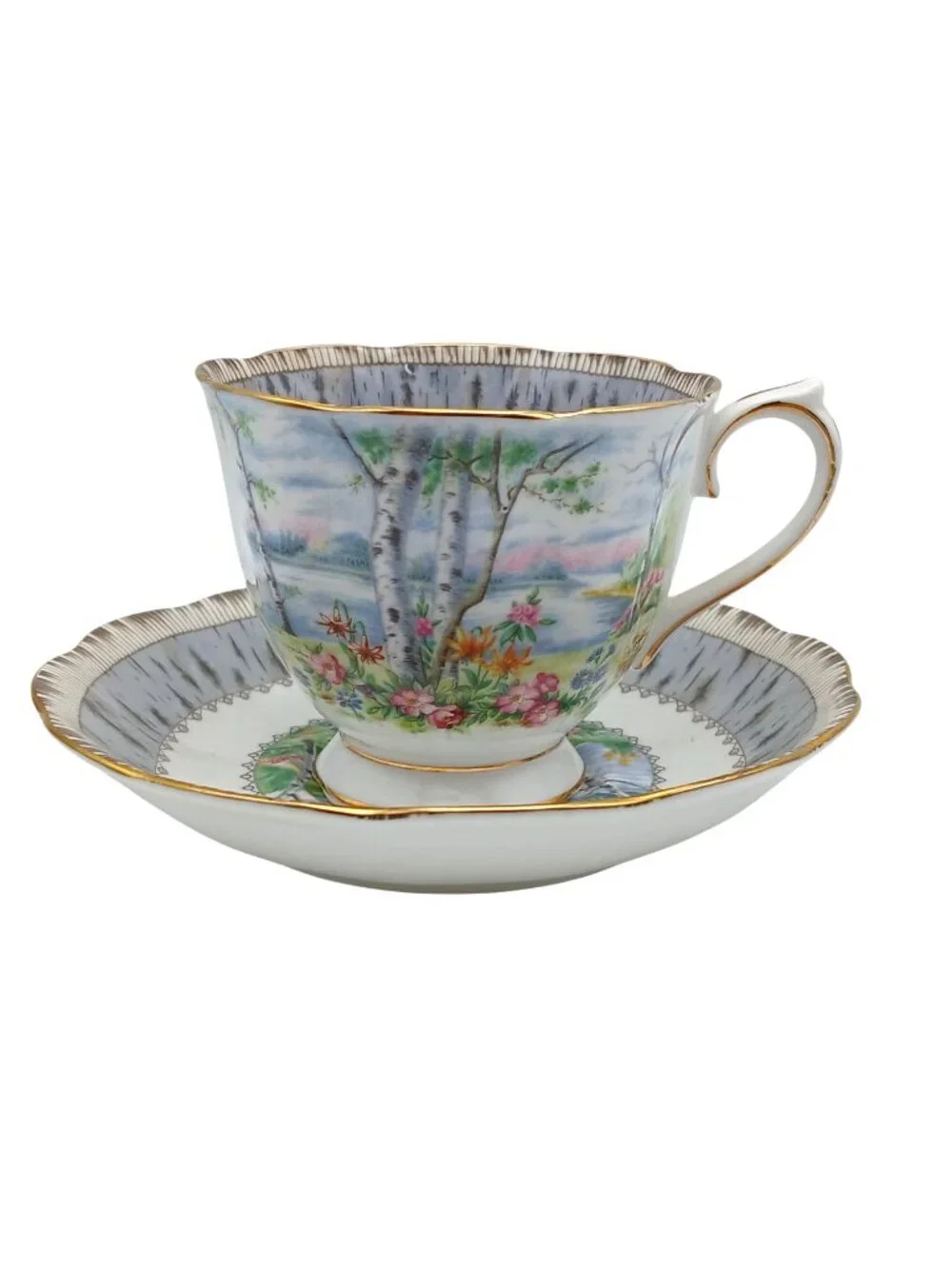 Royal Albert Silver Birch 4pc Place Setting Bone China Dinnerware England
